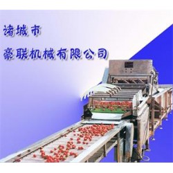 供應(yīng)胡蘿卜清洗機(jī)、白蘿卜清洗機(jī)