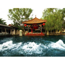 【旅游行業(yè)crm系統(tǒng)】山東哪家的技術(shù)*流，售后服務(wù)到位?