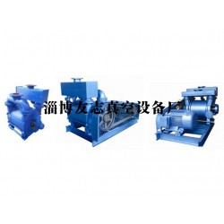 水環(huán)式真空泵供應(yīng)廠家【推*！友志】水環(huán)式真空泵