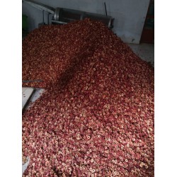 鼎豐機械供應質(zhì)量較好的山楂去核切片機_切片機