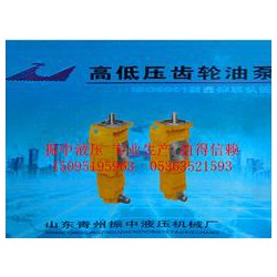 推土機齒輪油泵價格_優(yōu)質(zhì)雙聯(lián)齒輪油泵供應(yīng)