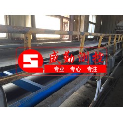 皮帶秤ICS系列，徐州盛勤電子皮帶秤，高精度皮帶稱