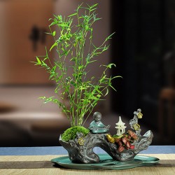 武漢辦公室盆栽室內(nèi)盆景公司花卉，武漢室外苗木商場(chǎng)綠植工廠盆栽
