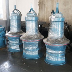 德能水泵 全國(guó)泵業(yè)十大排名推廣產(chǎn)品 350QZB潛水軸流泵