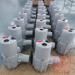 角行程電動執(zhí)行器F-DQW10，扭矩100NM鋁殼機型