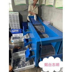 長沙市藍莓調(diào)速滾筒選果分*機廠家批發(fā)